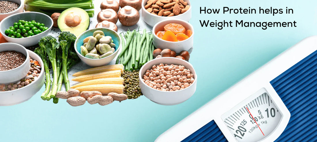 Protein-Rich Foods Supporting Healthy and Sustainable Weight Loss