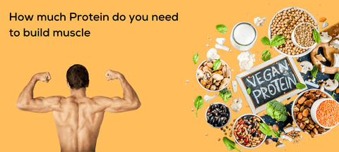 Protein for Building Muscle | Prolicious