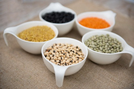 Assorted Protein Foods Highlighting Essential Amino Acids