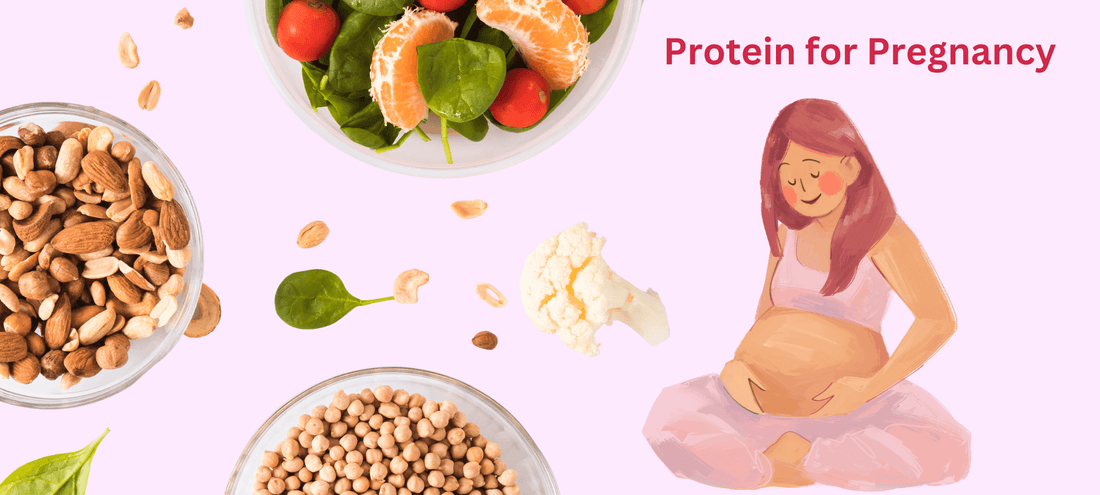 High Protein Foods Supporting Healthy Pregnancy Nutrition