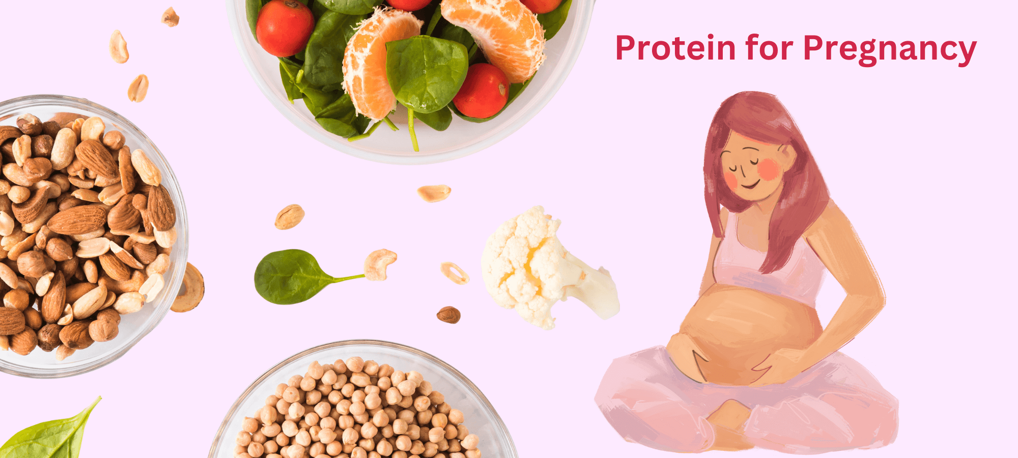 High Protein Foods Supporting Healthy Pregnancy Nutrition