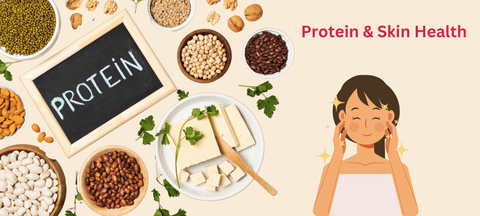 Protein & Skin Health