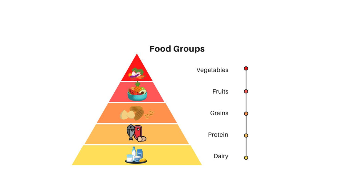 Variety of Colorful Foods Representing Different Food Groups