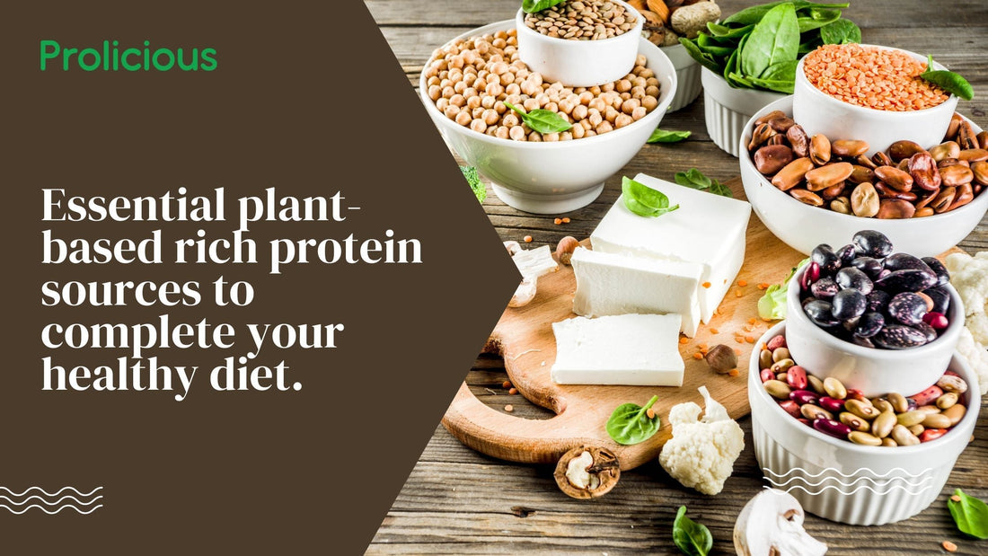 Variety of Plant-Based Protein Foods for Healthy Diet