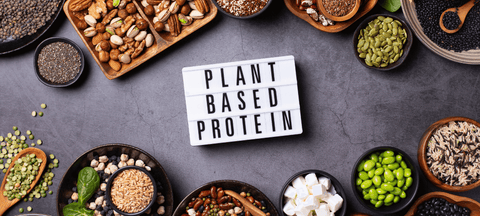 Importance of Plant Protein | Prolicious 2X Protein