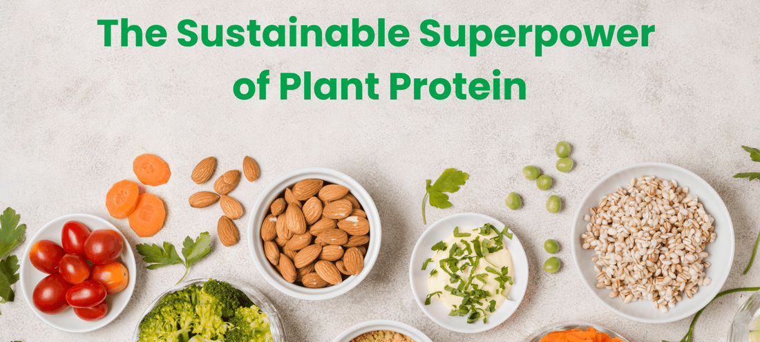 The Sustainable Superpower of Plant Protein: Fueling Fun, Flavorful, and Eco-Friendly Diets!