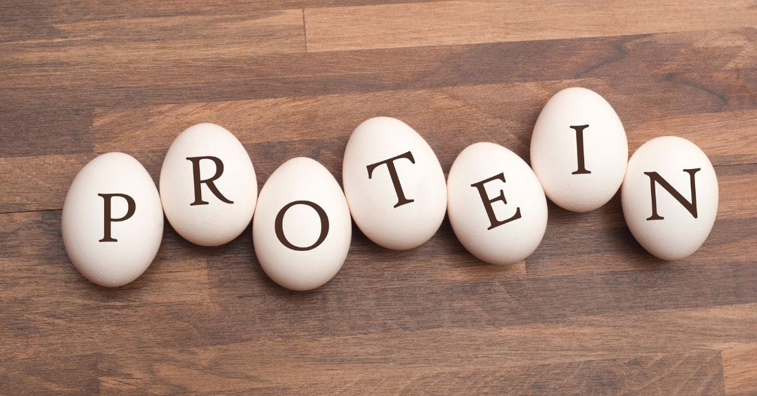 Why Protein is Essential for Your Health