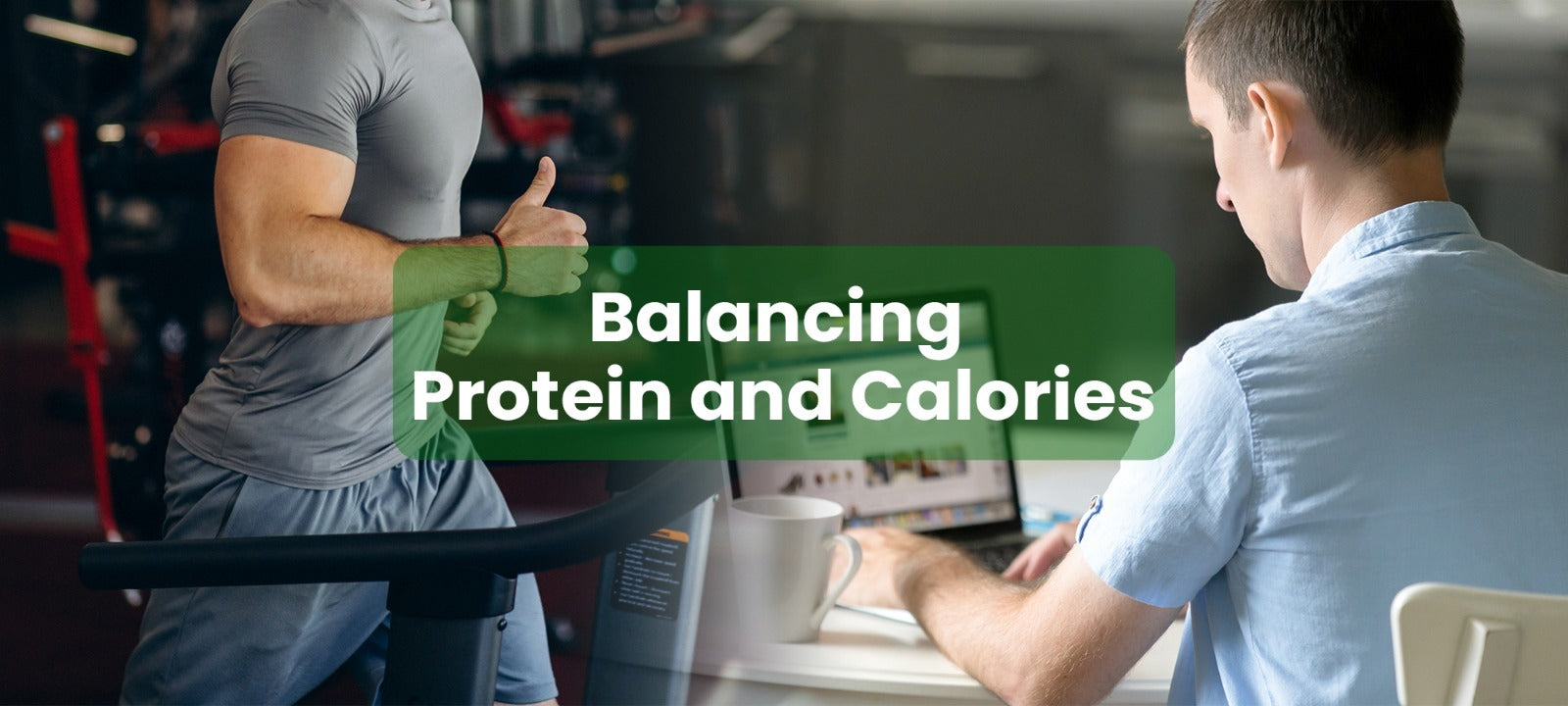 Balanced Protein Foods for Fitness and Nutrition