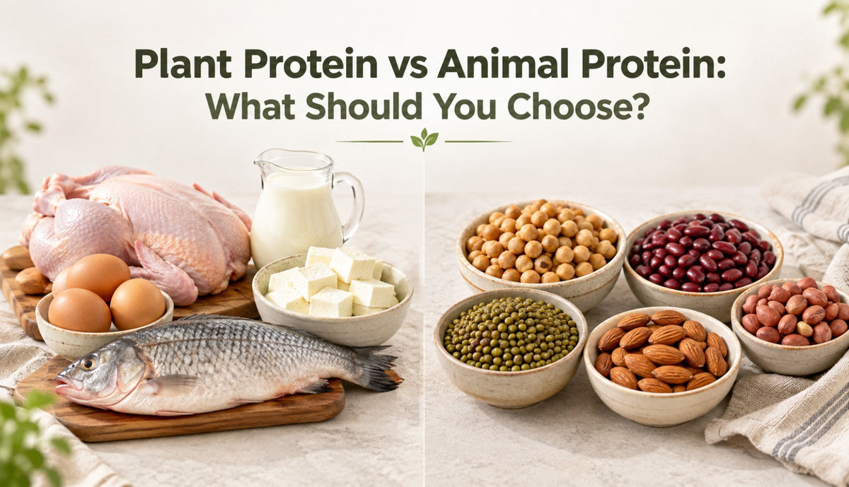 Plant Protein vs Animal Protein: What Should You Choose?