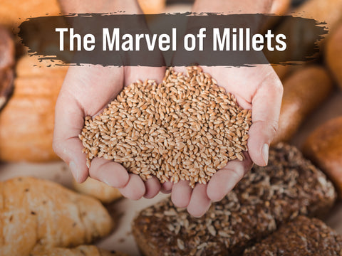 The Marvel of Millets- Importance of Millets