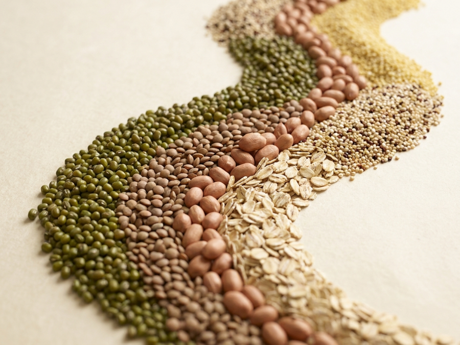Wholefood Protein